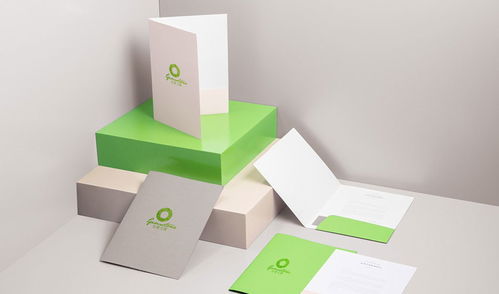 專業(yè)廣告設(shè)計，助力品牌騰飛——金妻玉寶杰出設(shè)計服務(wù)